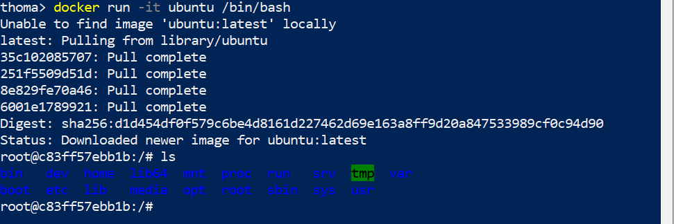 docker run -it ubuntu /bin/bash